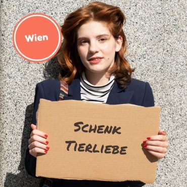 Produkte Spenden | Haus St. Josef | Schenk eine Dose Futter für eine Katze im Obdachlosenhaus
| Caritas Wirhelfen.shop